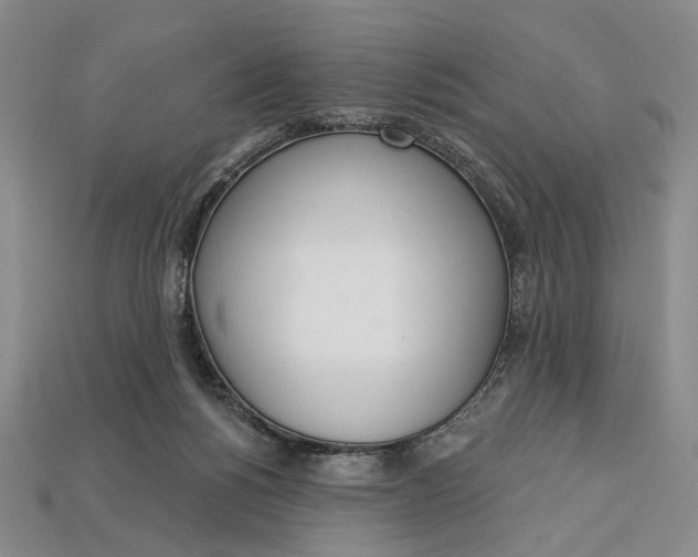 X0000112720168200909101454