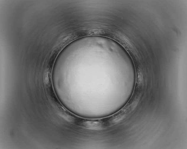 X0000112720169200909101454