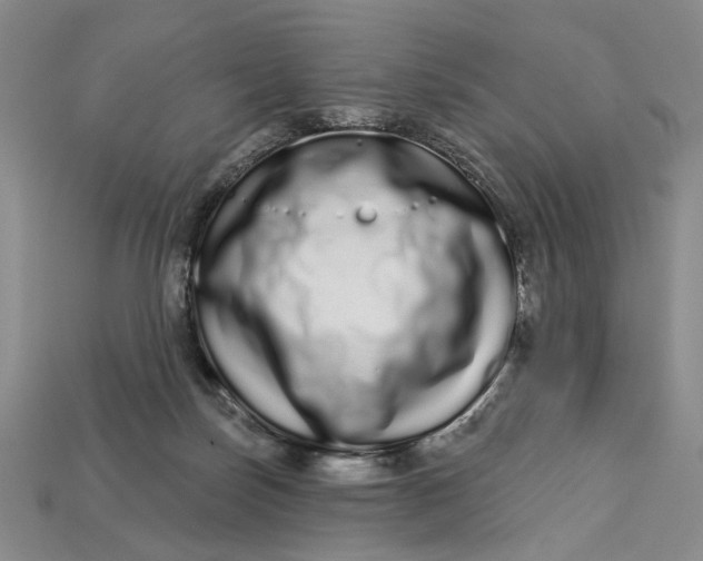 X0000112720171200909101454