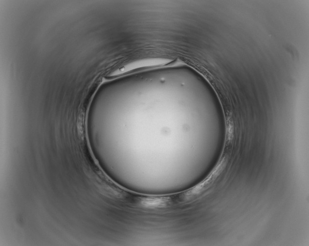 X0000112720175200909101454