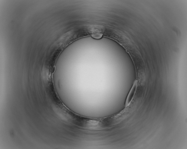 X0000112720176200909101454