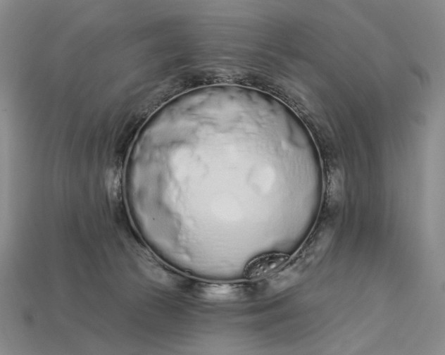 X0000112720177200909101454