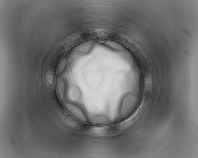 X0000112720178200909101454