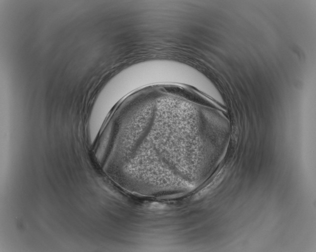 X0000112720180200909101454