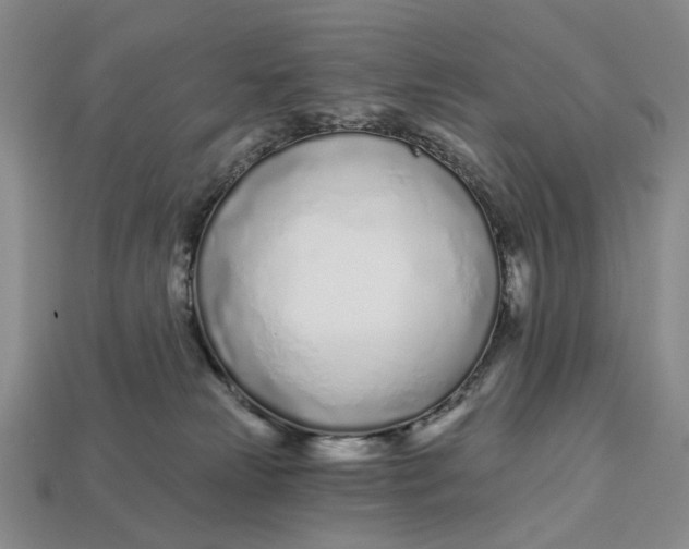 X0000112720181200909101454