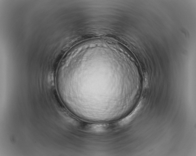 X0000112720182200909101454