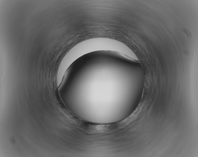 X0000112720184200909101454