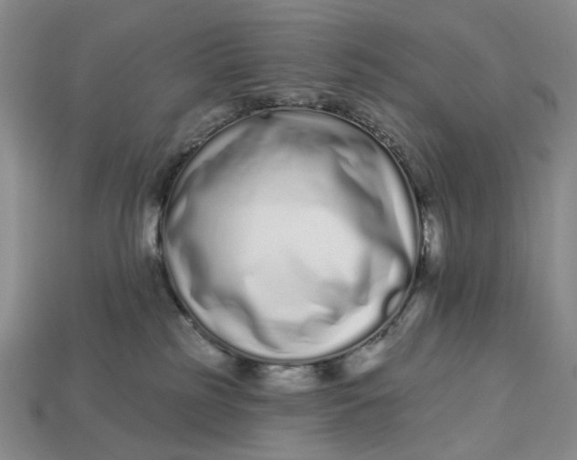 X0000112720185200909101454