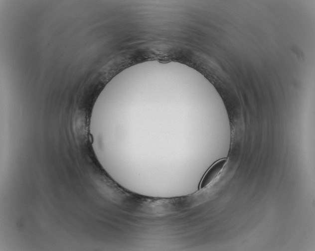 X0000112720186200909101454