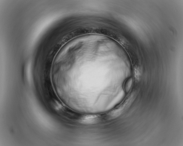 X0000112720189200909101454