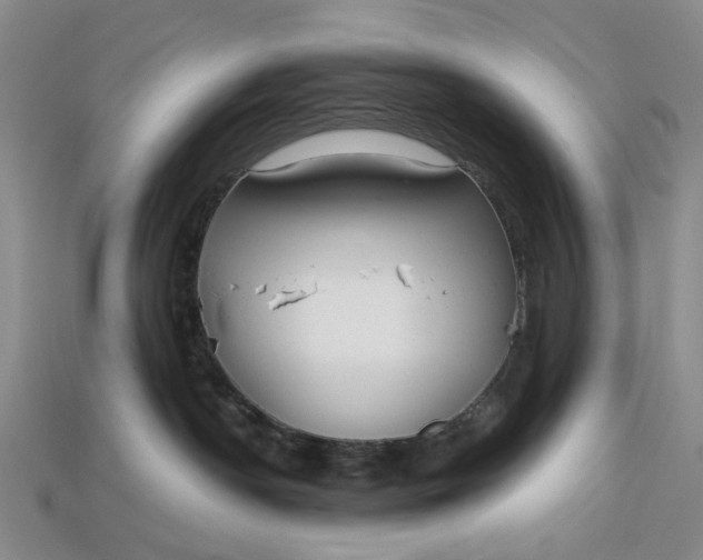 X0000112720190200909101454