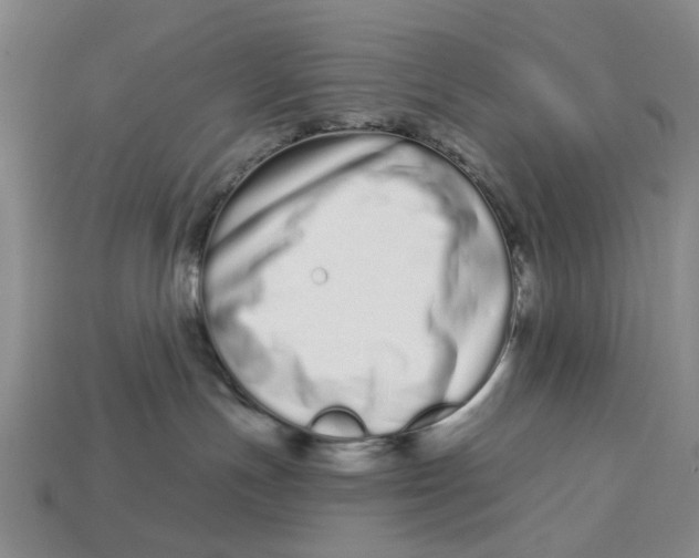 X0000112720191200909101455