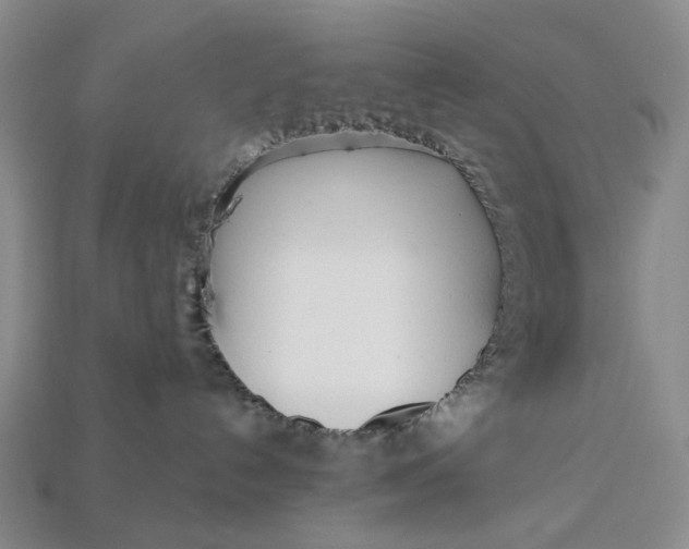 X0000112720192200909101455