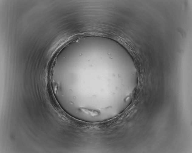 X0000112720194200909101454