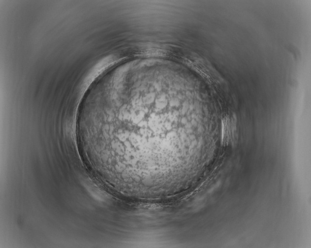 X0000112720195200909101454