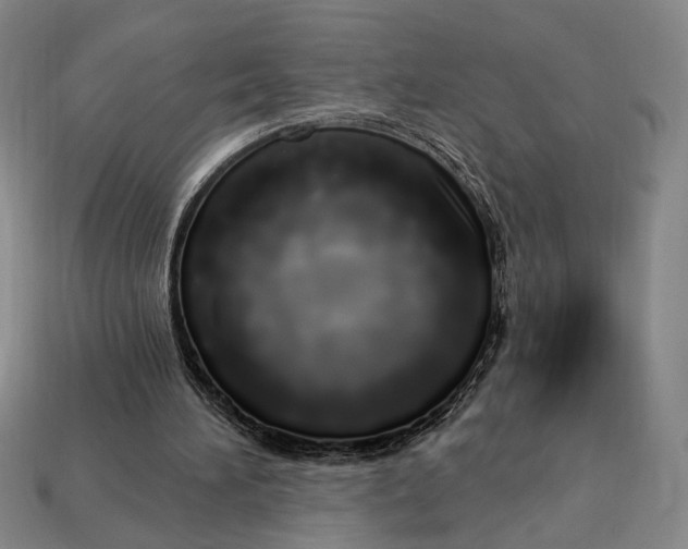 X0000112720196200909101454