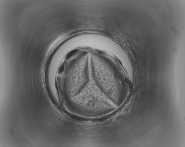 X0000112720197200909101454