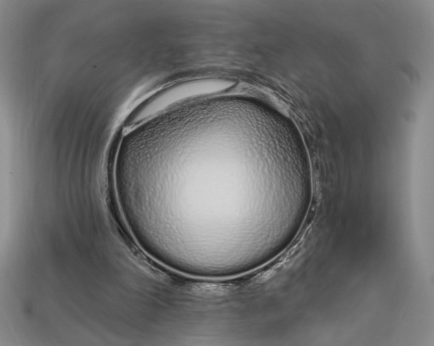 X0000112720198200909101454