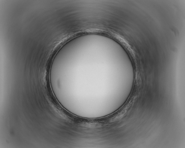 X0000112720201200909101454