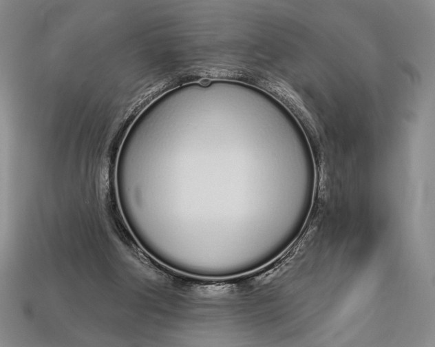 X0000112720202200909101454