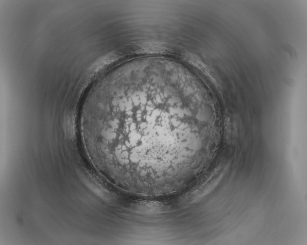 X0000112720203200909101454