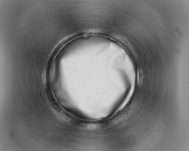 X0000112720204200909101454