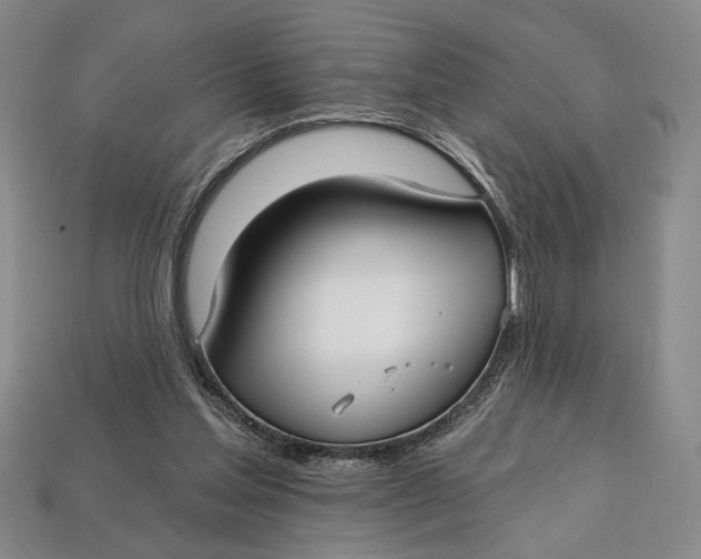 X0000112720205200909101454