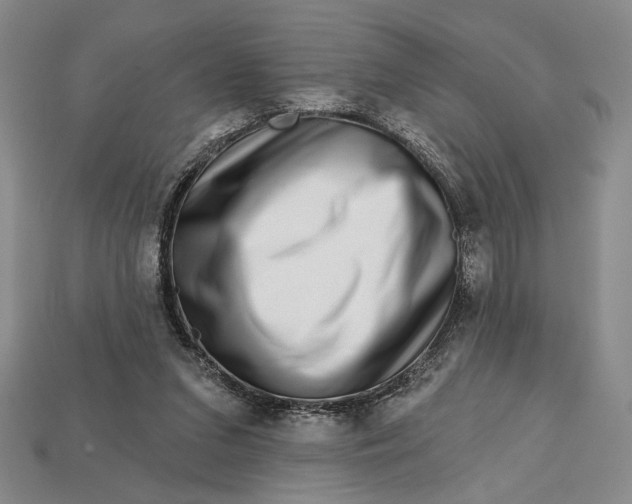 X0000112720207200909101454