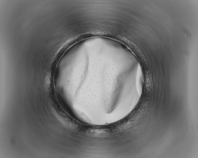 X0000112720208200909101454