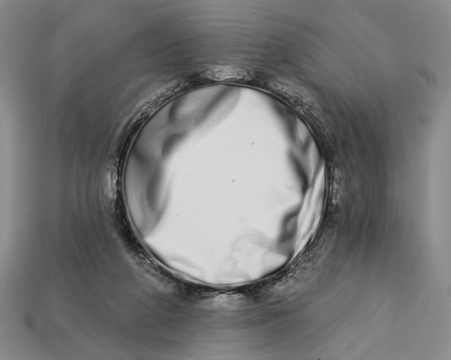 X0000112720210200909101454