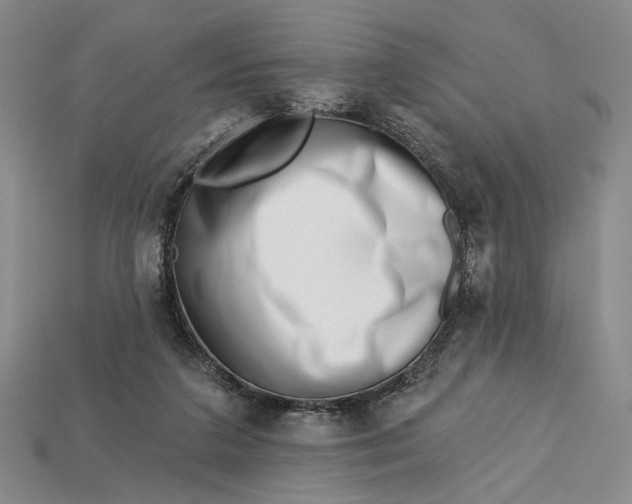 X0000112720211200909101454