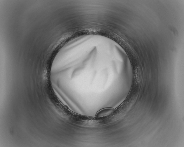 X0000112720212200909101454