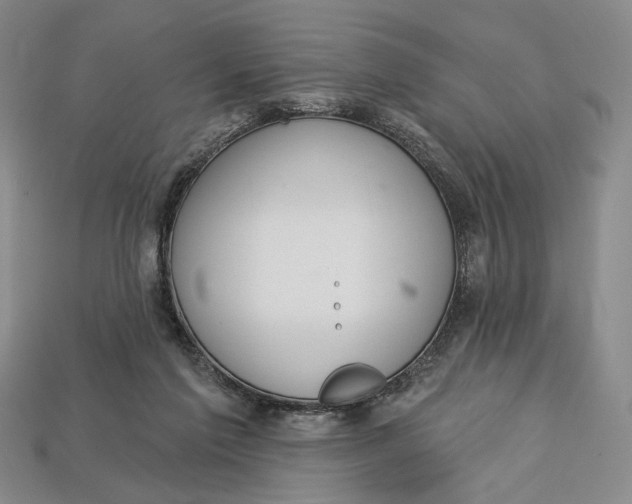 X0000112720213200909101454