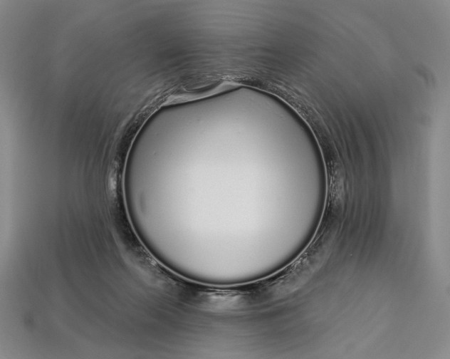 X0000112720214200909101454