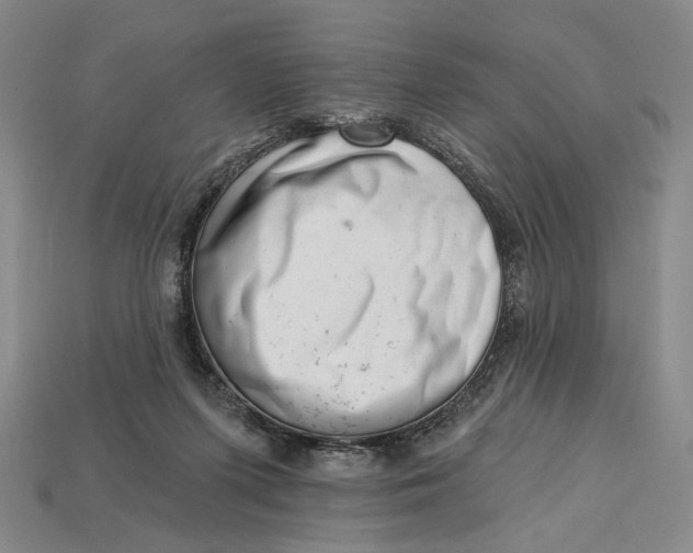 X0000112720215200909101454