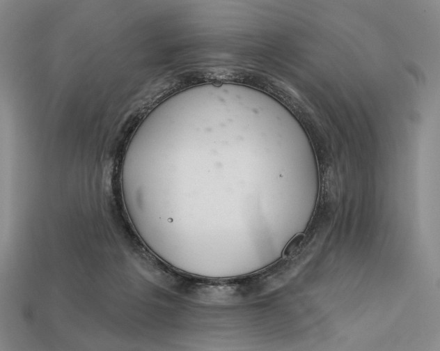 X0000112720217200909101454