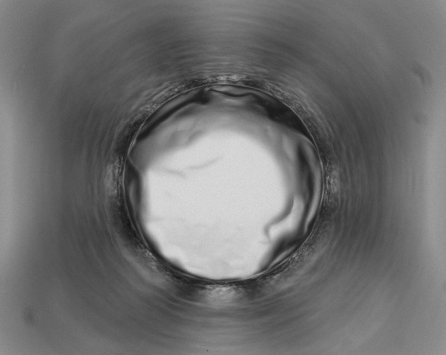 X0000112720218200909101454