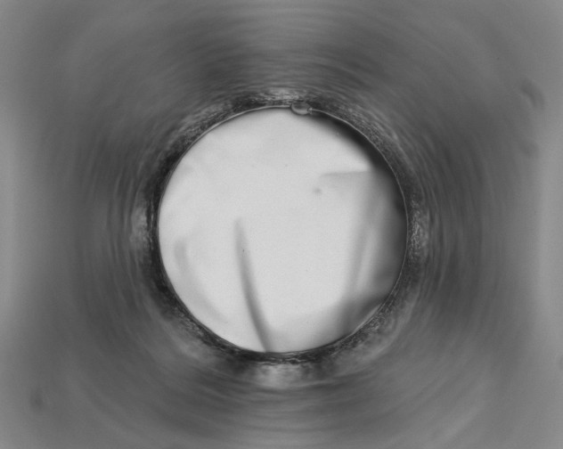 X0000112720220200909101454