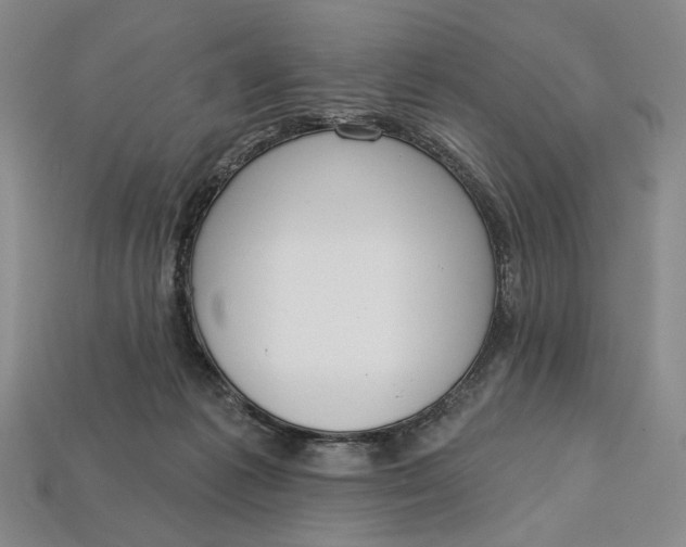 X0000112720221200909101454