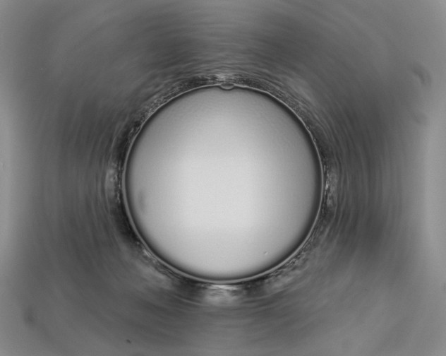 X0000112720222200909101454