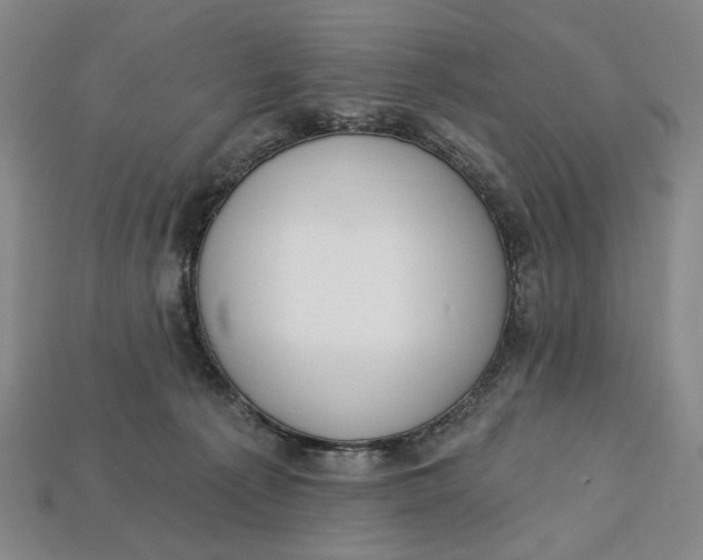 X0000112720225200909101453