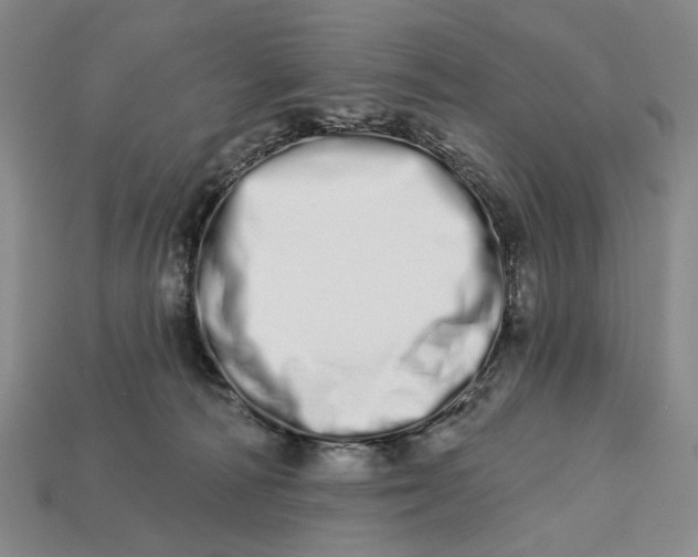 X0000112720226200909101453