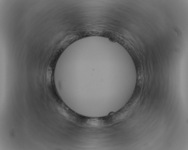 X0000112720231200909101453