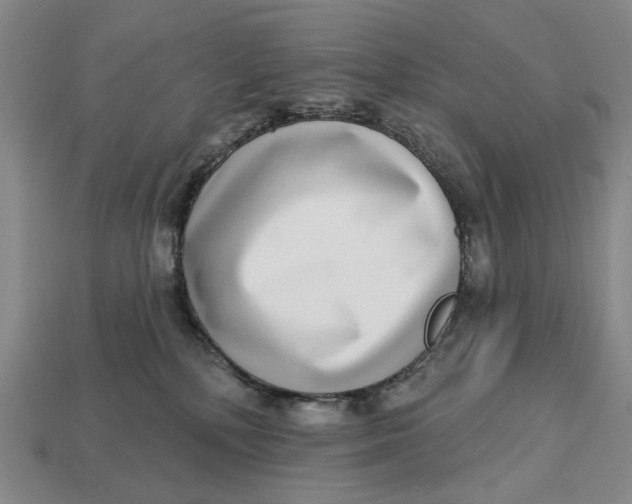 X0000112720232200909101453