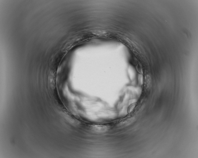 X0000112720234200909101453