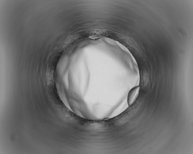 X0000112720236200909101453