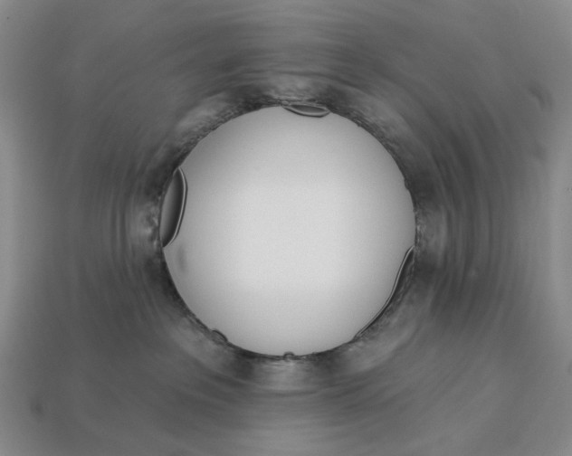 X0000112720237200909101453