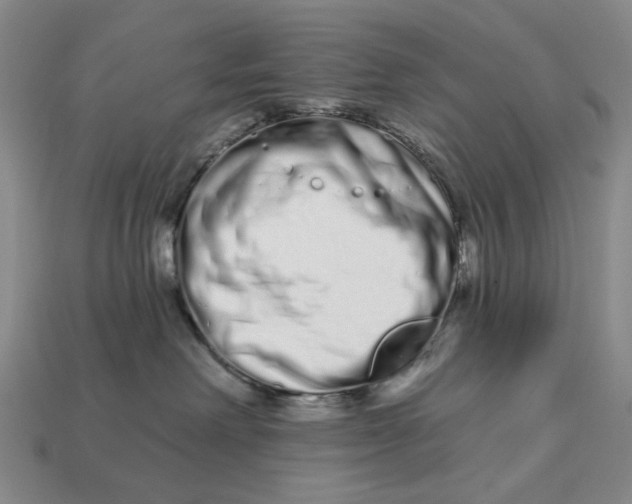 X0000112720238200909101453