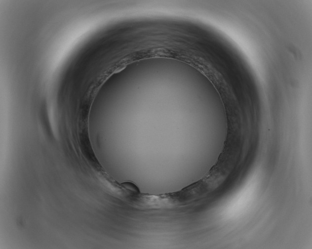 X0000112720239200909101453