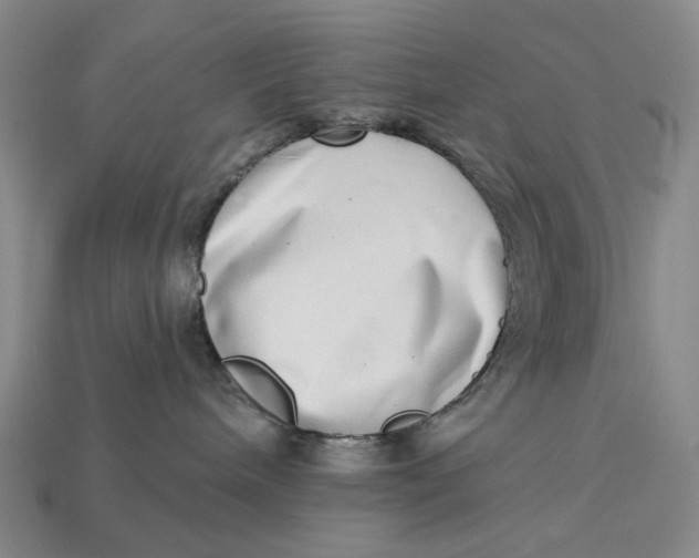 X0000112720240200909101453